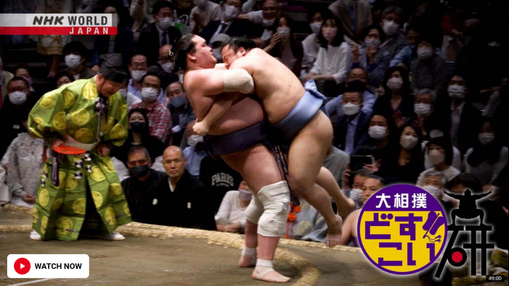 Sarah Carol Narrator Dosukoi Sumo Salon Kimedashi Episode